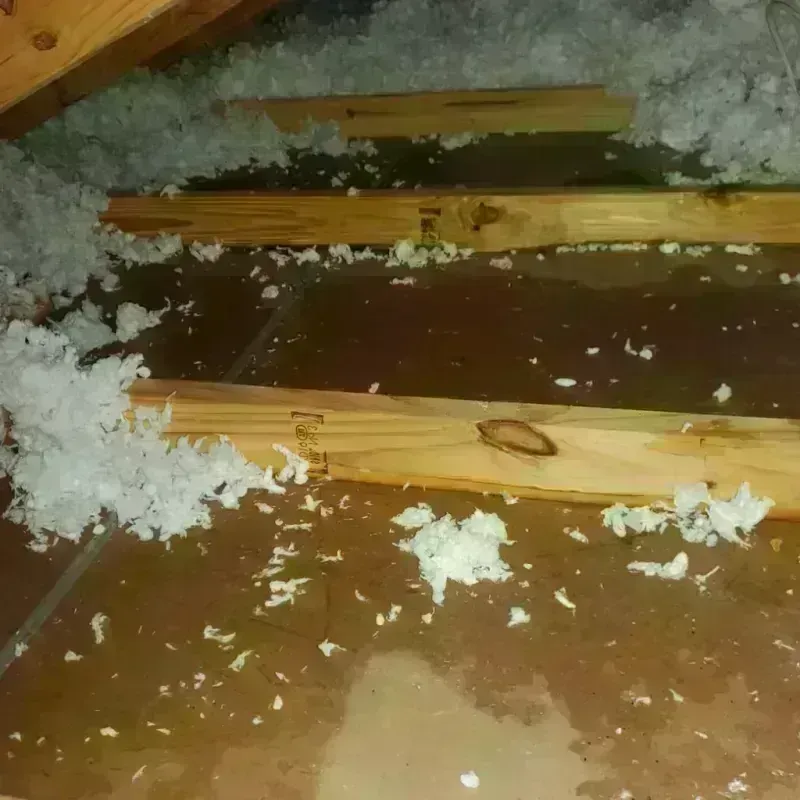 Attic Water Damage in White Oak, TX